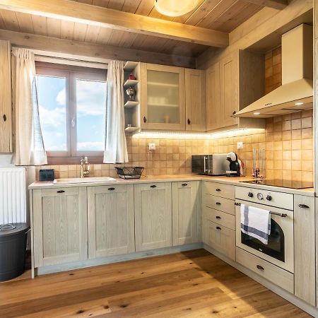 Kallisto Mountain House IV Arachova Zewnętrze zdjęcie